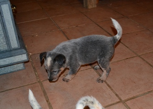 Hudson De Myridene